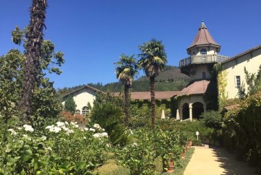 sonoma valley